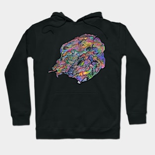 Dragons and snake Hoodie